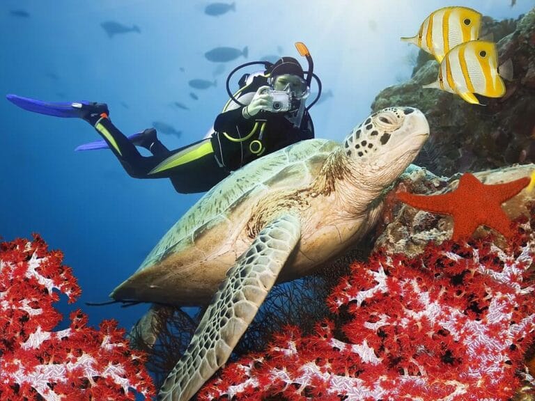 Scuba Tagesausflug zum Tauchen in Hurghada