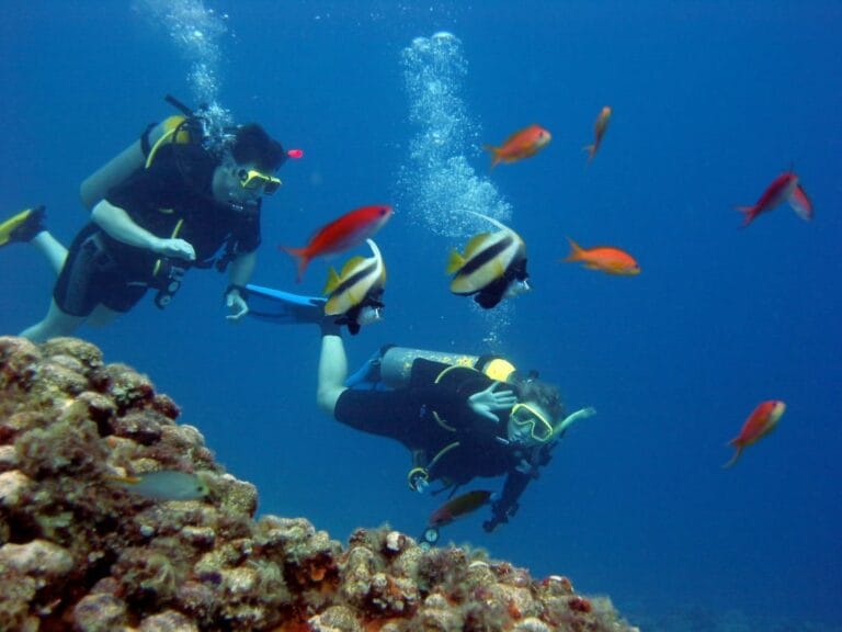Scuba Tagesausflug zum Tauchen in Hurghada