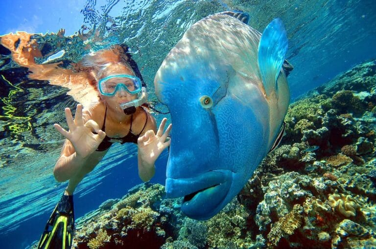 Scuba Tagesausflug zum Tauchen in Hurghada