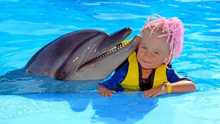 Delfinshow Makadi bay – Delfinarium Hurghada