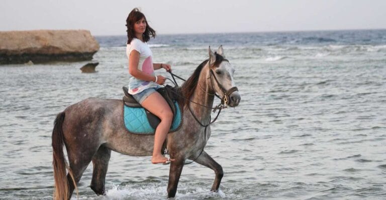 Reiten am Strand und in der Wüste von Hurghada