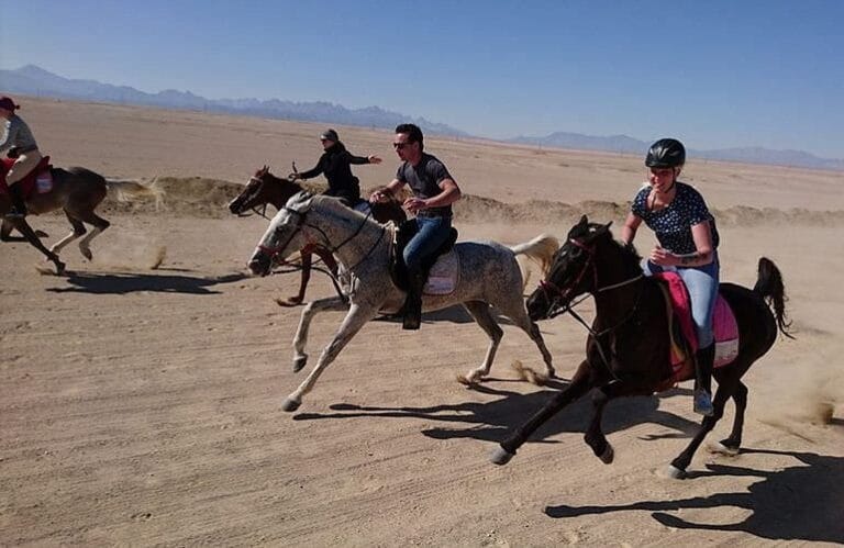 Reiten am Strand und in der Wüste von Hurghada