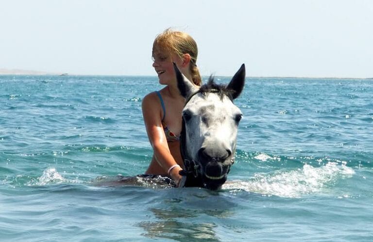 Reiten am Strand und in der Wüste von Hurghada