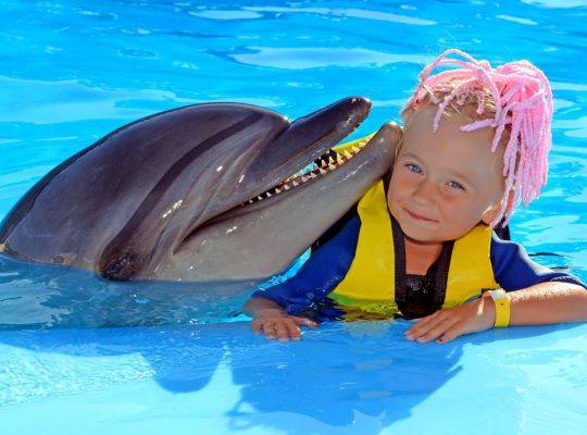 Delfinshow Makadi bay – Delfinarium Hurghada