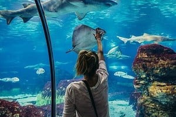 Grand Aquarium