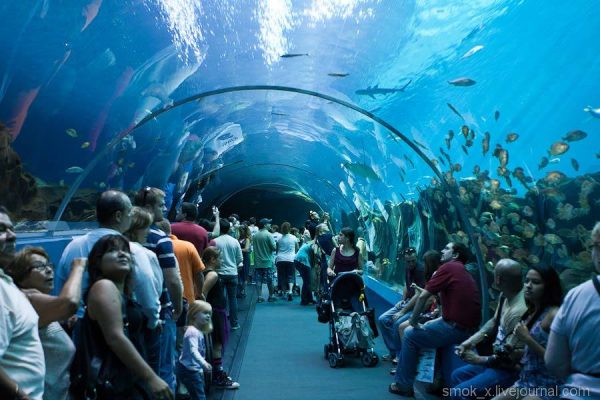 Grand Aquarium