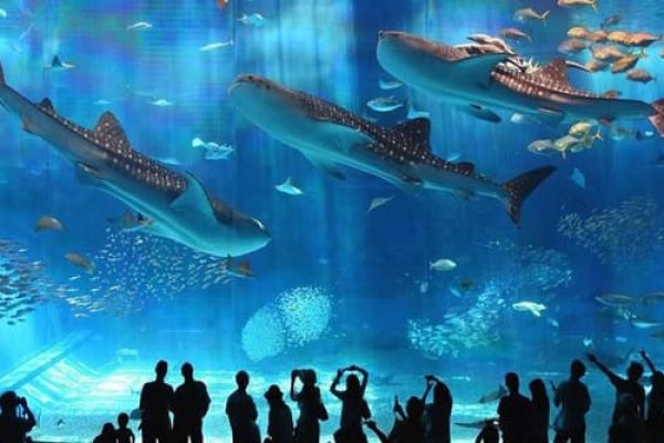 Grand Aquarium