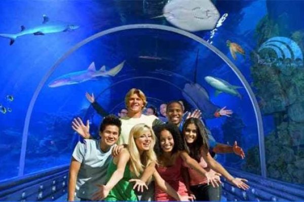 Grand Aquarium