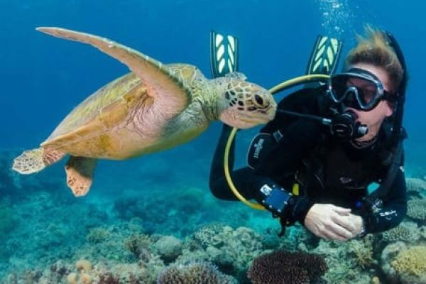 Scuba Diving in Hurghada