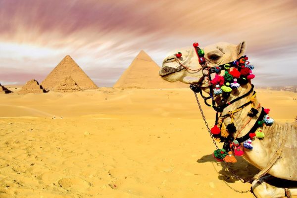 Cairo Trip from Hurghada