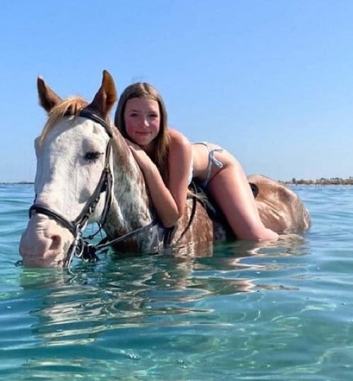 hurghada ausflüge preise