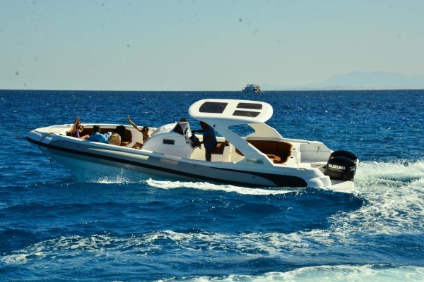 Private Speedboat Tour