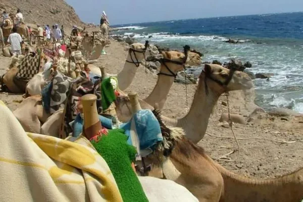 Discovery 4 in 1: Canyon & Dahab