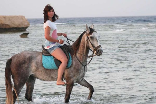 Horse Riding in Hurghada