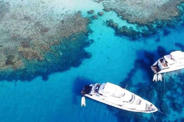 Ras Mohammed & White Island