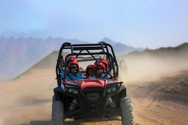 Buggy Safari