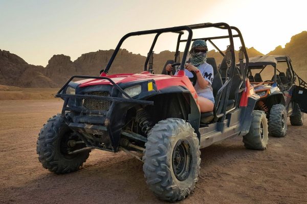 Buggy Safari