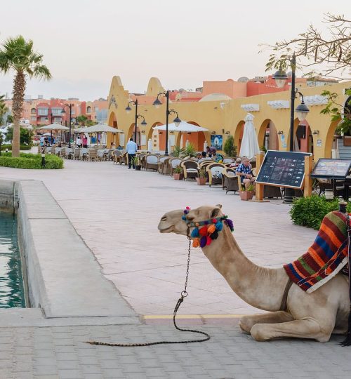 Hurghada Ausflüge
