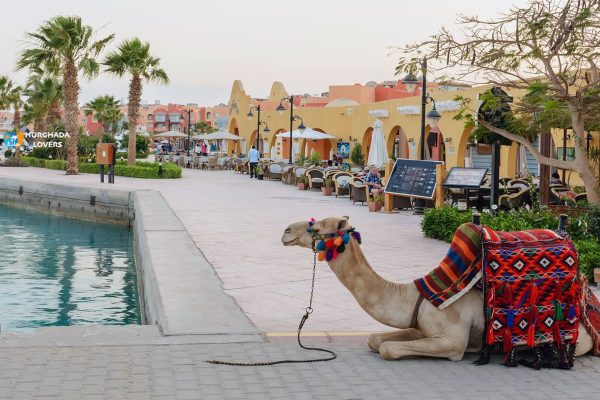 Hurghada City Tour