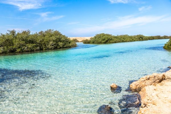 Ras Mohammed by Bus