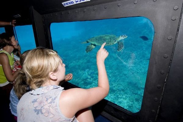 Hurghada Semi-Submarine