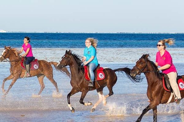 Horse Riding in Hurghada