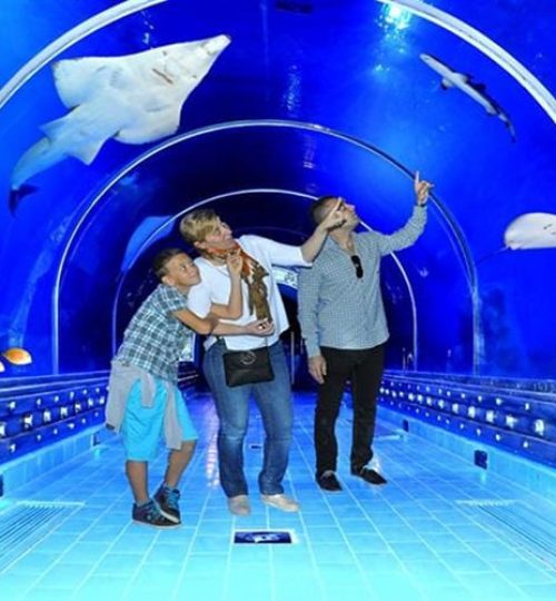 Hurghada Großes Aquarium