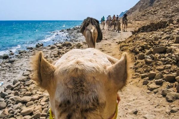Discovery 4 in 1: Canyon & Dahab