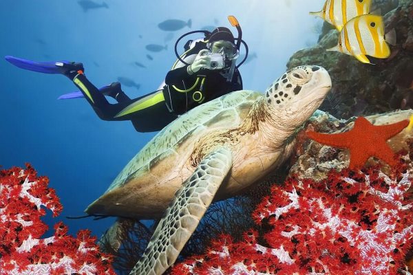 Scuba Diving in Hurghada