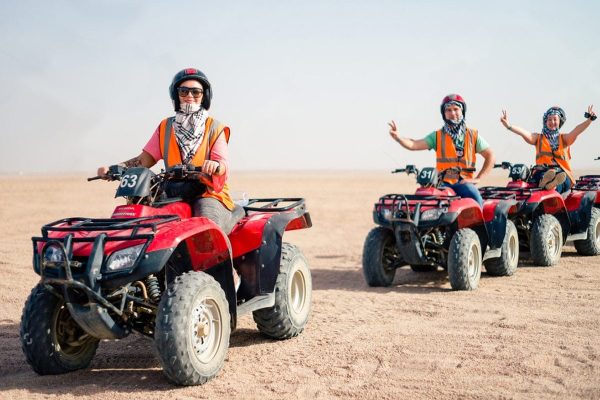 3-Hour Quad Safari