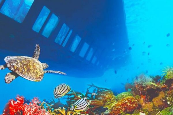 Hurghada Semi-Submarine