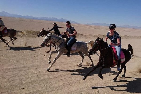 Horse Riding in Hurghada