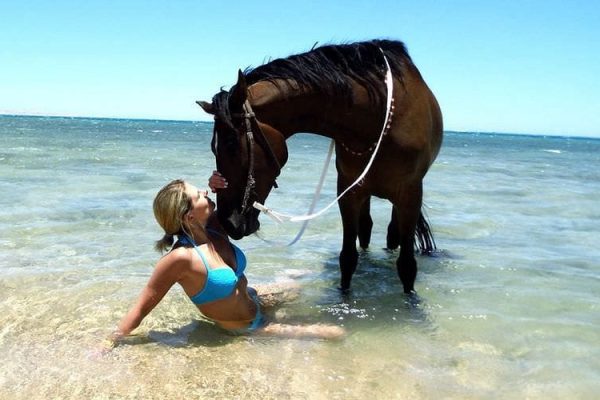 Horse Riding in Hurghada