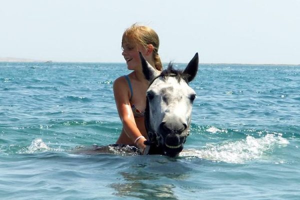 Horse Riding in Hurghada