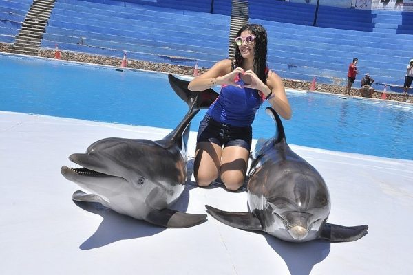 Dolphin Show Sharm El Sheikh