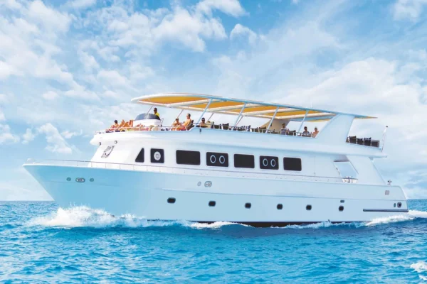 Ras Mohammed & White Island