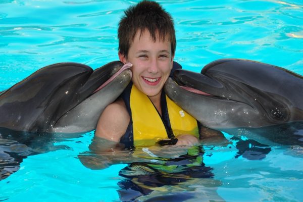 Dolphin Show Sharm El Sheikh