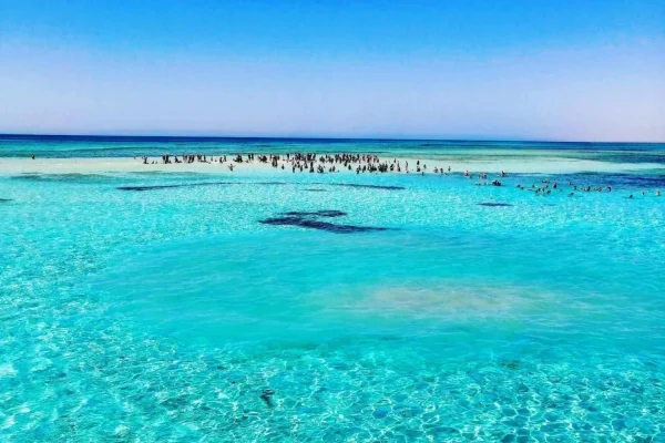 Ras Mohammed & White Island