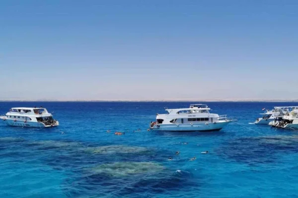 Ras Mohammed & White Island