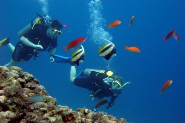 Scuba Tagesausflug zum Tauchen in Hurghada