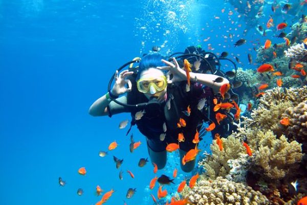 Scuba Diving in Hurghada
