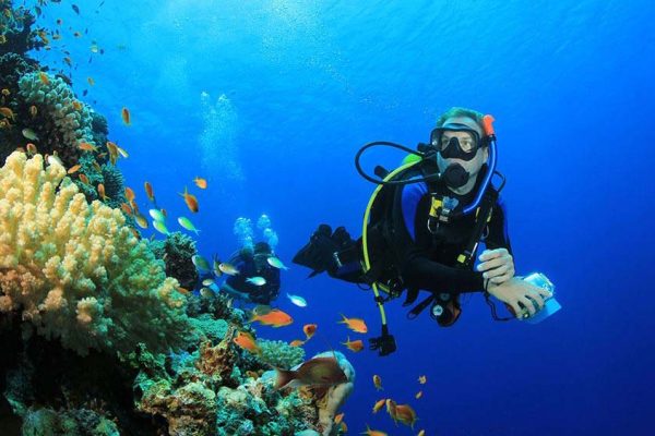 Scuba Diving in Hurghada