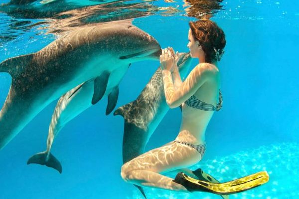 Dolphin House Tour