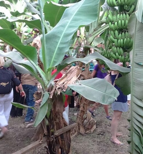 Tagesausflug von Hurghada nach Luxor mit dem Bus / hurghada Ausflug tal der könige